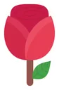 rose