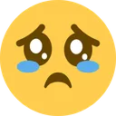 cri cri