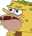 cavesponge cavesponge