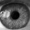 eye