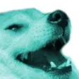 BalanceKek