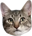 oliver