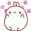 blushhappy