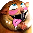 tdogUguu