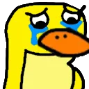 dorrysad