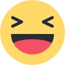 xd