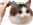 brushyRev