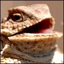 hhhehehe