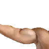 flexleft