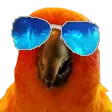 gowCool
