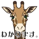 wakarimasu wakarimasu