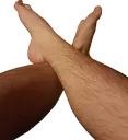 leg