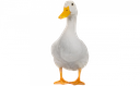 :duck: