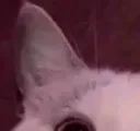 smile1