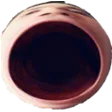 plsnotOMEGA plsnotOMEGA