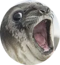 shockseal