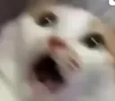 scared