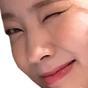 DubuWink