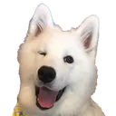 fluffywink