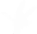dab dab