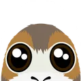 porgLurk