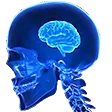 SmallBrain SmallBrain