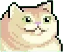 catowo