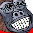 lacKEK lacKEK