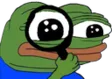 peepoInspect