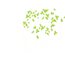 Legacy