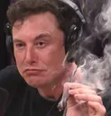 ElonHigh