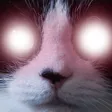 smudgeglow