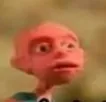 __
