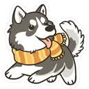 husko husko