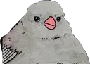 annoyedbird