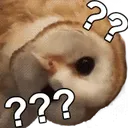 OwlWhat