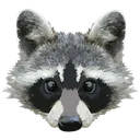 Trashpanda Discord Emoji