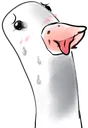 Lewdduck Lewdduck