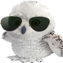 bogaOwl bogaOwl