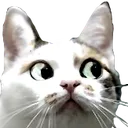 monkaMeow