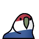 nlfastparrot