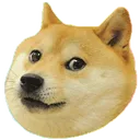 doge
