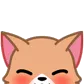 corgocute