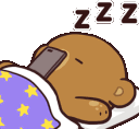 :BearSleeping: Discord Emote