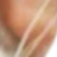 t15