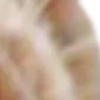 t23