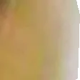t64