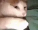 juul2