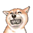 wardog1Smiles wardog1Smiles