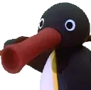 Noot